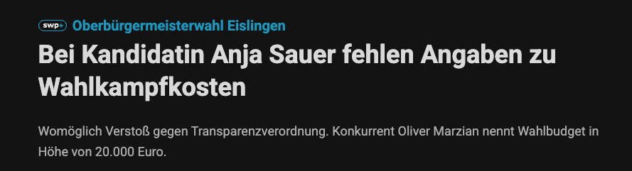Wenn man im Wahlkampf auf Profis setzt, vermeidet man in der Stichwahlphase solche Schlagzeilen