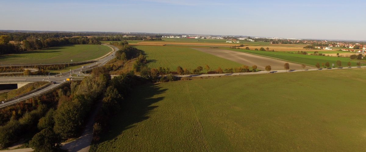 Auf dieser Wiese soll der neue Standort entstehen