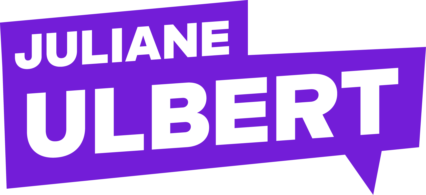 Entwicklung des Wahlkampfdesigns aus nach drei vorgeschlagenen Gestaltungsrouten.