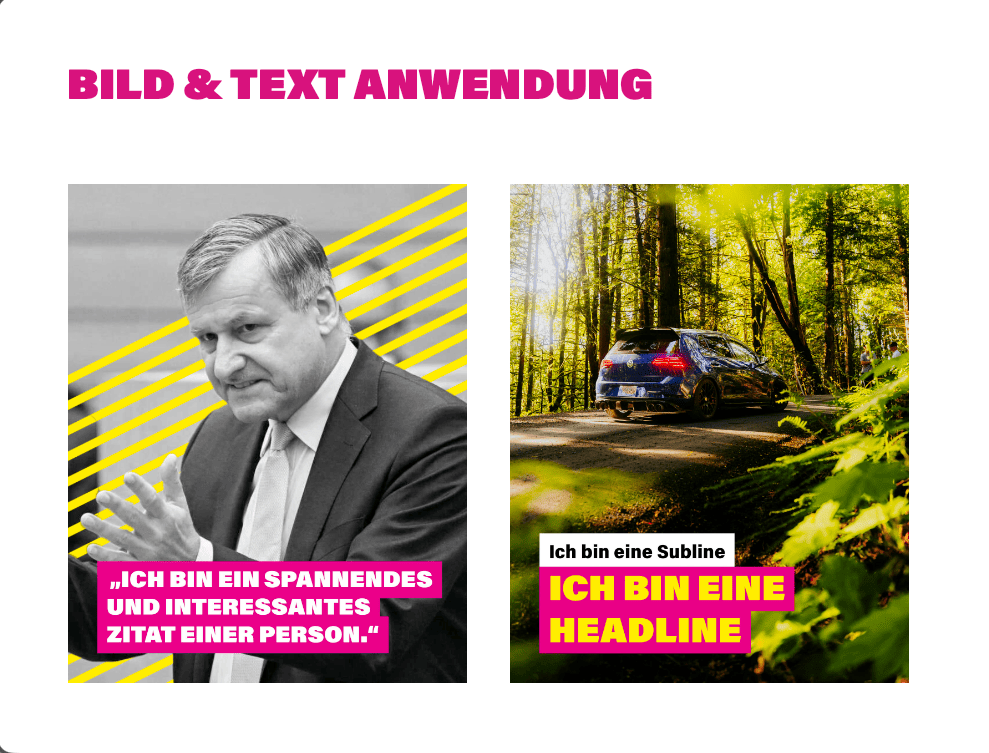 Überarbeitung des Erscheinungsbilds der FDP/DVP-Fraktion.