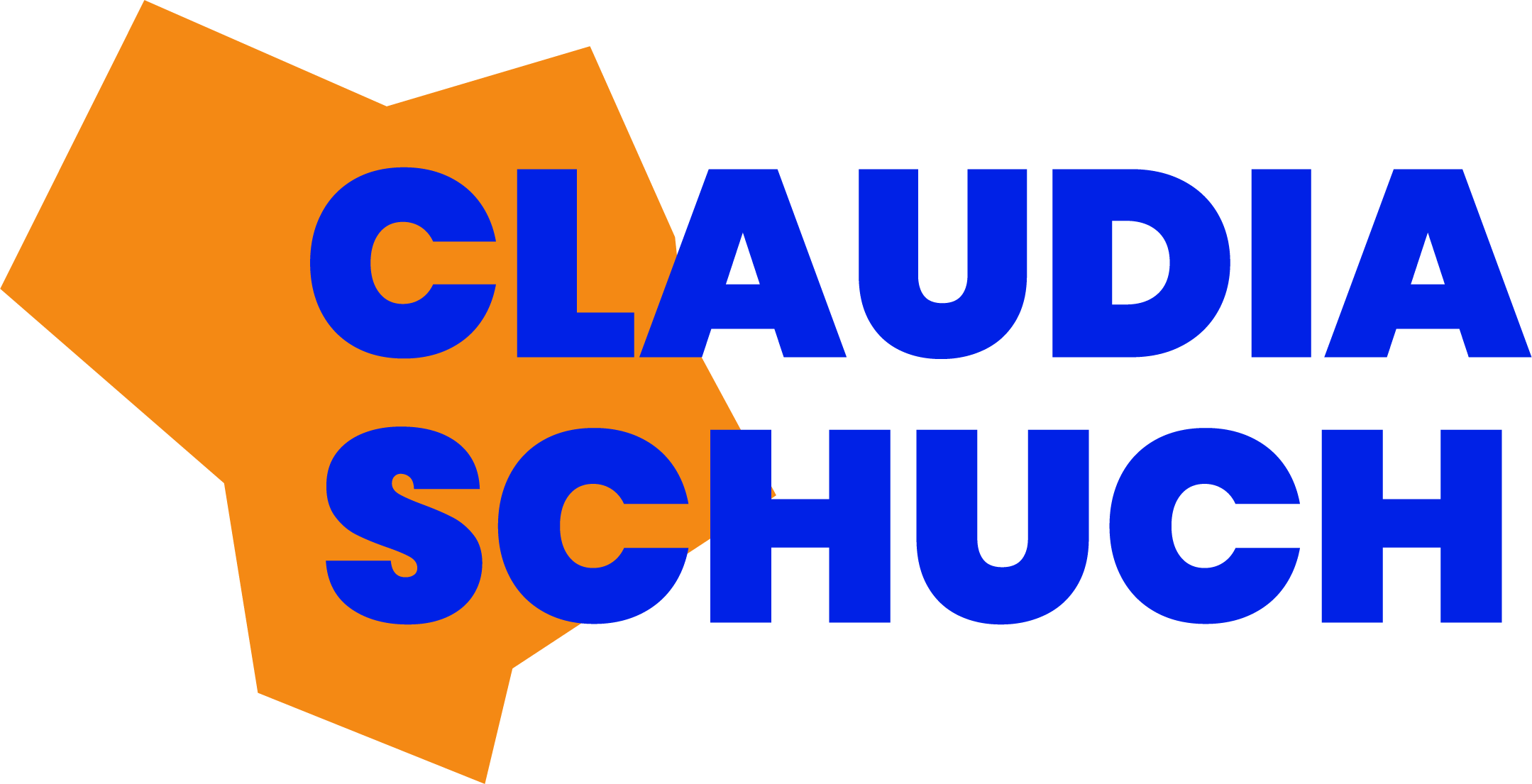Erarbeitung der Personenmarke mit der Political Brand Method im Strategie-Workshop.
